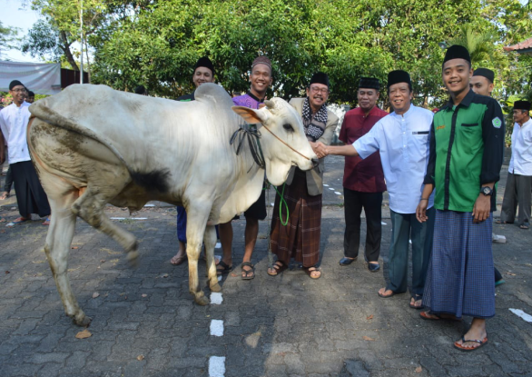 IDUL ADHA 1440 H  Di lingkungan UNTAG Semarang